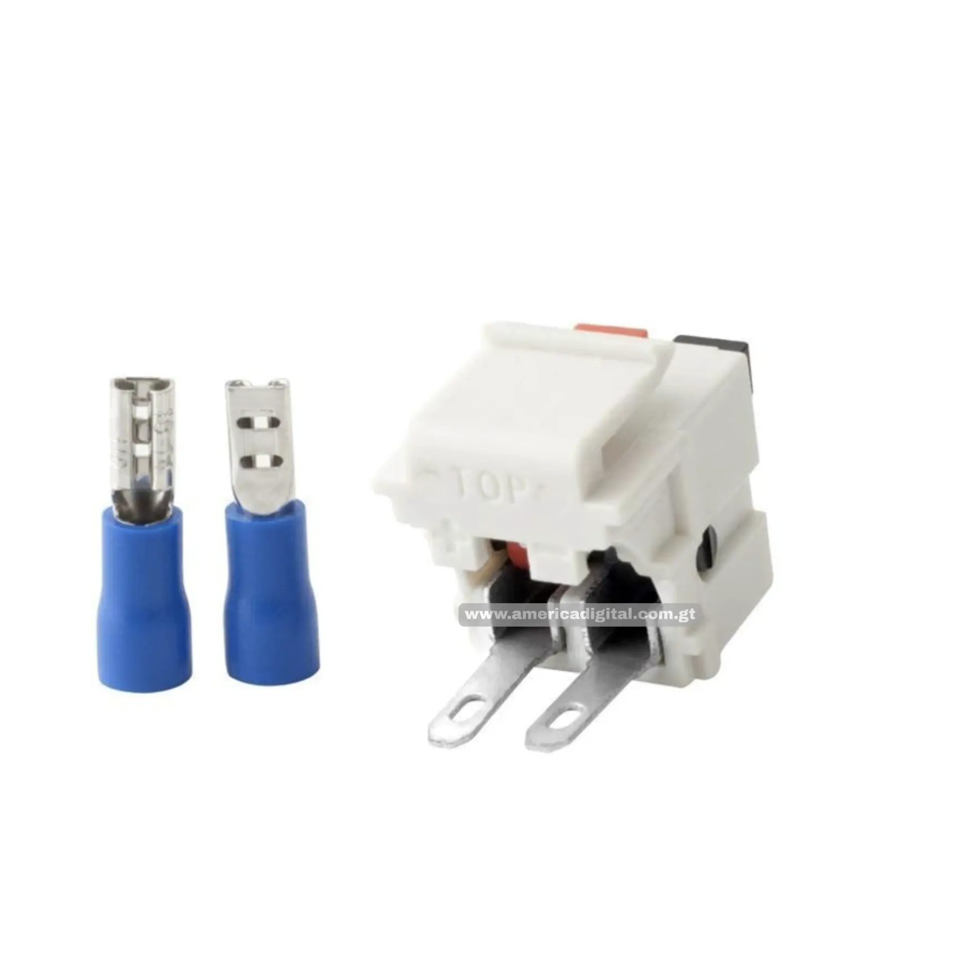 Conector Audio dado Keystone Jack Hembra a Hembra Blanco